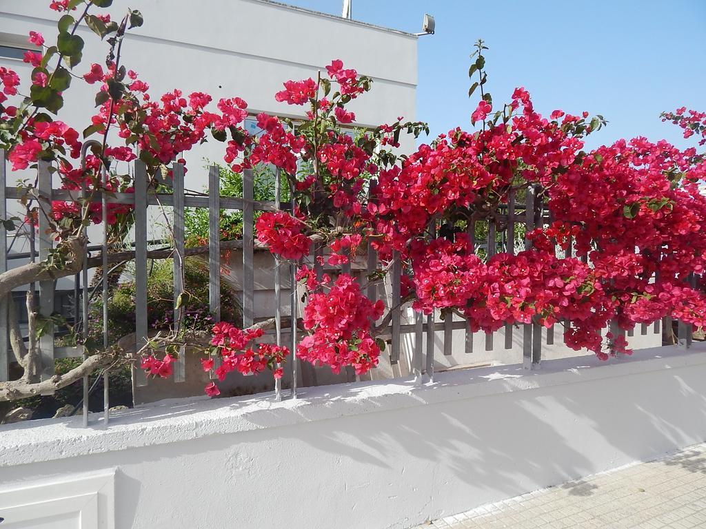 Monte Sant' Angelo Hotel Otranto Kültér fotó